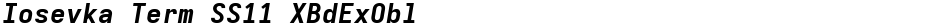 Iosevka Term SS11 XBdExOblDemo