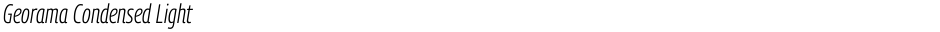 Georama Condensed LightDemo