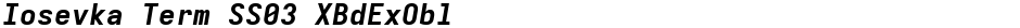 Iosevka Term SS03 XBdExOblDemo