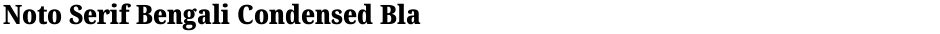 Noto Serif Bengali Condensed BlackDemo