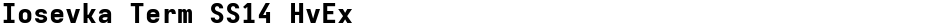 Iosevka Term SS14 HvExDemo