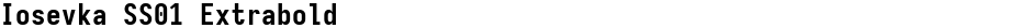 Iosevka SS01 ExtraboldDemo