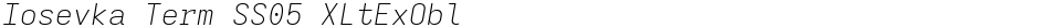 Iosevka Term SS05 XLtExOblDemo