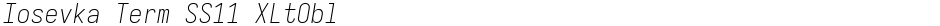 Iosevka Term SS11 XLtOblDemo