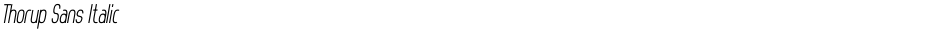 Thorup Sans ItalicDemo