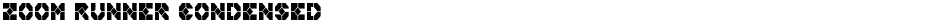 Zoom Runner CondensedDemo
