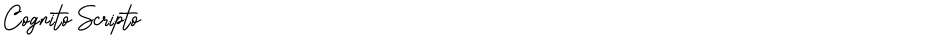 Cognito ScriptoDemo