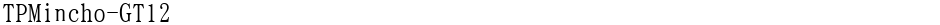 TPMincho-GT12Demo