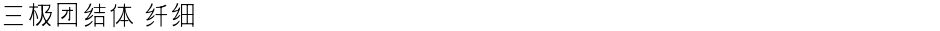三极团结体 纤细Demo