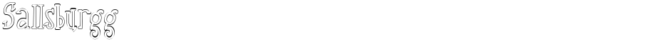 SallsburggDemo