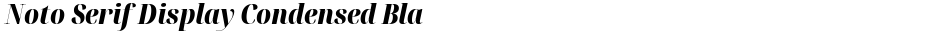Noto Serif Display Condensed BlackDemo