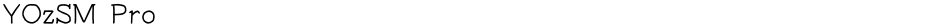 YOzSM ProDemo
