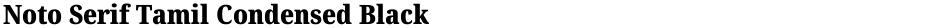 Noto Serif Tamil Condensed BlackDemo
