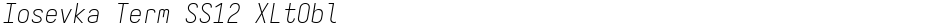 Iosevka Term SS12 XLtOblDemo