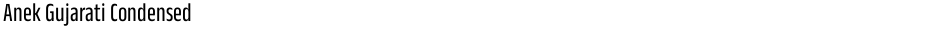Anek Gujarati CondensedDemo