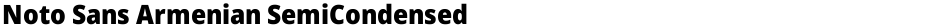 Noto Sans Armenian SemiCondensed BlackDemo