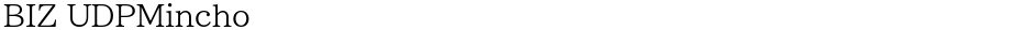 BIZ UDPMinchoDemo
