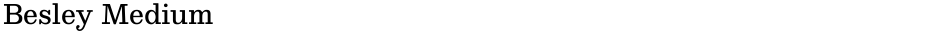 Besley MediumDemo