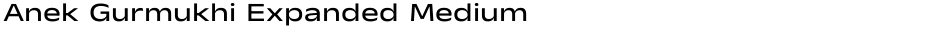 Anek Gurmukhi Expanded MediumDemo