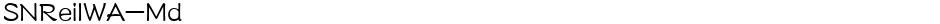 SNReiIWA-MdDemo
