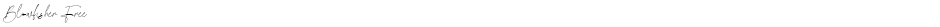 Blowfisher FreeDemo