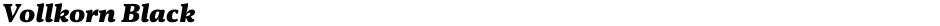 Vollkorn BlackDemo