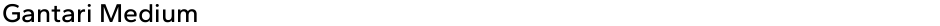 Gantari MediumDemo