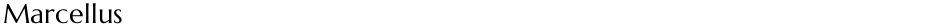 MarcellusDemo