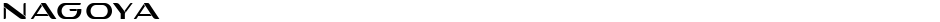 NagoyaDemo