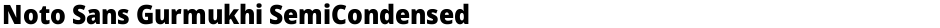 Noto Sans Gurmukhi SemiCondensed BlackDemo