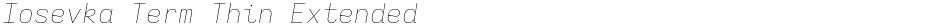Iosevka Term Thin ExtendedDemo