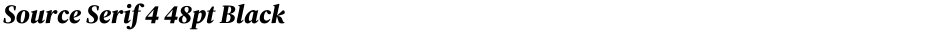 Source Serif 4 48pt BlackDemo