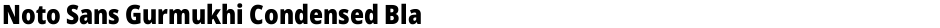 Noto Sans Gurmukhi Condensed BlackDemo