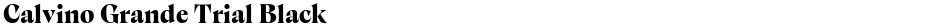 Calvino Grande Trial BlackDemo