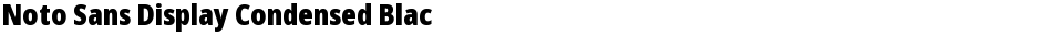 Noto Sans Display Condensed BlackDemo