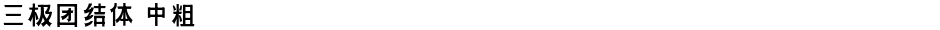 三极团结体 中粗Demo