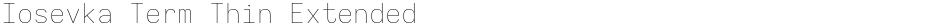 Iosevka Term Thin ExtendedDemo