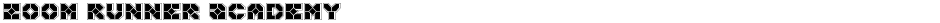 Zoom Runner AcademyDemo