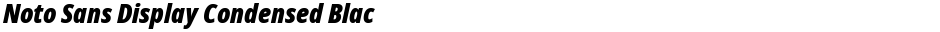 Noto Sans Display Condensed BlackDemo