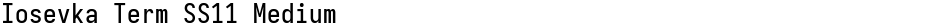 Iosevka Term SS11 MediumDemo