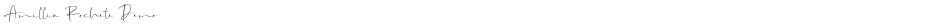 Amillia Rochete DemoDemo