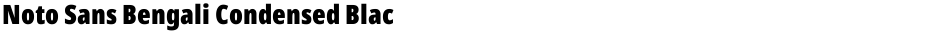 Noto Sans Bengali Condensed BlackDemo