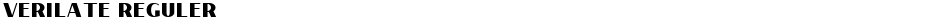 Verilate RegulerDemo