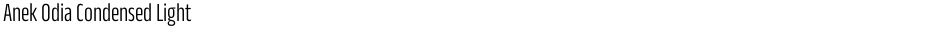 Anek Odia Condensed LightDemo
