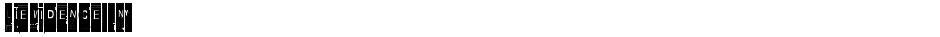 Lievidence TNYDemo