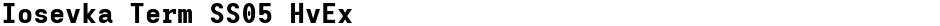 Iosevka Term SS05 HvExDemo