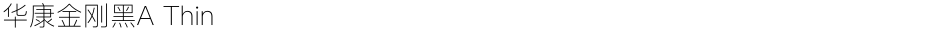 华康金刚黑A ThinDemo
