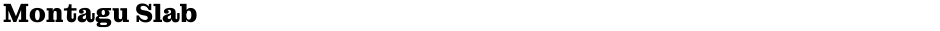Montagu SlabDemo