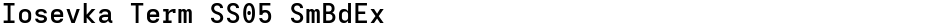 Iosevka Term SS05 SmBdExDemo