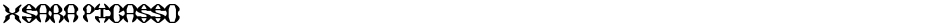 XSARA PICASSODemo